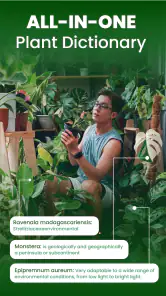 Florify: AI Plant Identifier screenshot