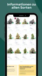 flowzz.com screenshot
