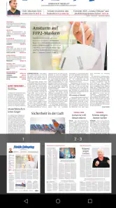 FLZ E-PAPER screenshot