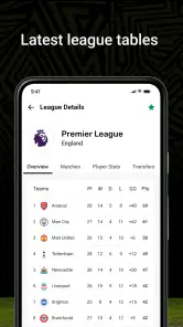 Football Score screenshot
