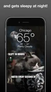 Grumpy Cat Weather screenshot