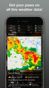 Grumpy Cat Weather screenshot