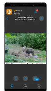ICU CLOM APP screenshot