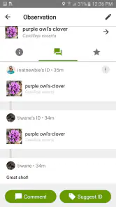 iNaturalist screenshot