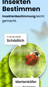 Käfer & Insekten Bestimmen screenshot