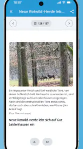 Kölnische Rundschau E-Paper screenshot