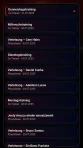 Kreisliga Fußballmanager screenshot