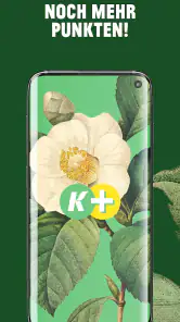 Kremer Plus screenshot