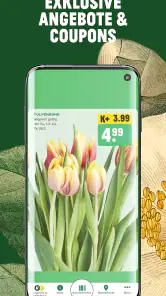 Kremer Plus screenshot
