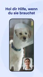 Lassie screenshot