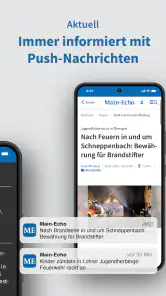 Main-Echo screenshot