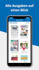 Main-Echo E-PAPER screenshot