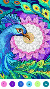 Mandala Color by Number Book screenshot