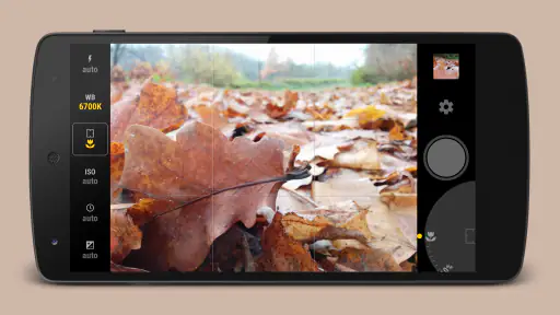 Manual Camera screenshot