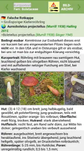 Meine Pilze (Pilzbestimmung) screenshot