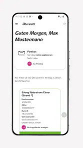 Meine Süwag screenshot