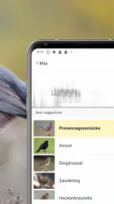 Merlin Bird ID von Cornell Lab screenshot
