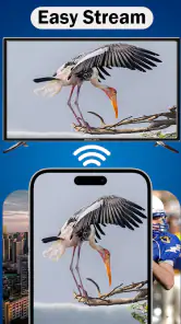 MirrorLink App for Car screenshot