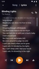 Musik Player - Music Player screenshot