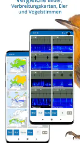 NABU Vogelwelt Vögel Bestimmen screenshot