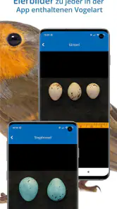 NABU Vogelwelt Vögel Bestimmen screenshot