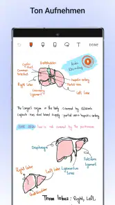 Noteshelf — Notizen machen screenshot