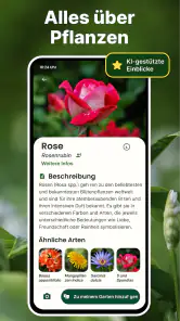 Pflanzen Erkennen auf Deutsch screenshot
