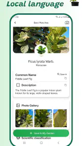 Pflanzenidentifizierer screenshot