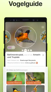 Picture Bird - Vögel bestimmen screenshot