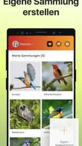 Picture Bird - Vögel bestimmen screenshot