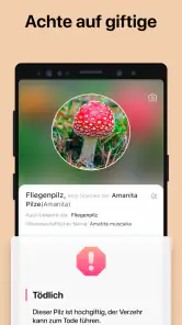 Picture Mushroom - Pilzführer screenshot