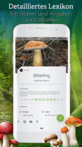 Pilze 123 screenshot