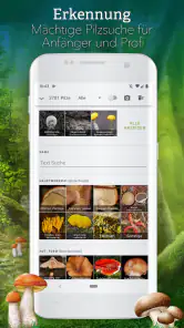 Pilze 123 screenshot