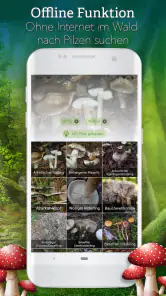 Pilze 123 screenshot