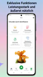 Pilzidentifikator screenshot