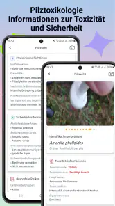 Pilzidentifikator screenshot