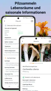 Pilzidentifikator screenshot