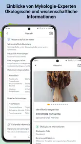 Pilzidentifikator screenshot