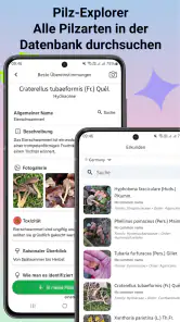 Pilzidentifikator screenshot