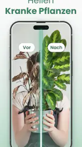 Plantify : Pflanzen Erkennen screenshot