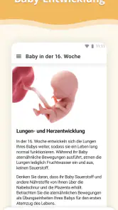 Schwangerschafts-App screenshot