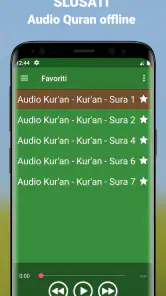 Quran Bosanski Audio mp3 app screenshot