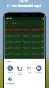 Quran Bosanski Audio mp3 app screenshot