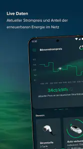 rabot.energy screenshot