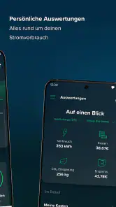 rabot.energy screenshot