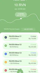 RAVEN Miner by NVS screenshot