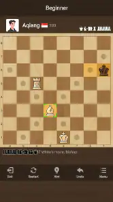 Schach: Klassisches Chess screenshot