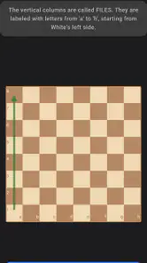Schach lernen: Schach spielen screenshot
