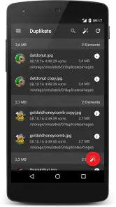 SD Maid 1 Pro: Lizenzschlüssel screenshot