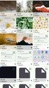 SD Maid 2/SE - Systemreiniger screenshot